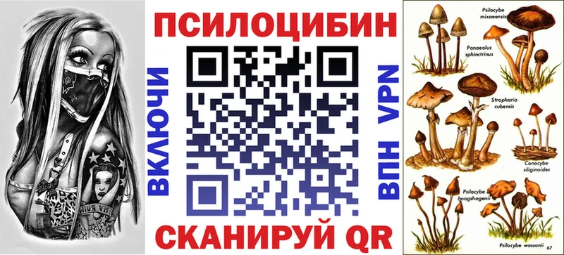 Галлюциногенные грибы мухоморы  мега ONION  Карачаевск 